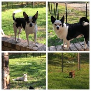 Meet your Posher, Debbie